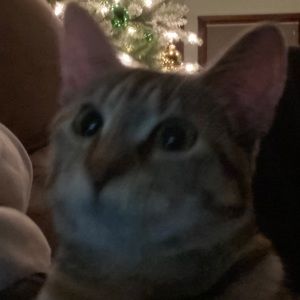 Meet your Posher, Michele